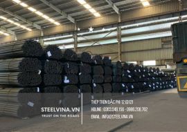 Thép Tròn Đặc Phi 12