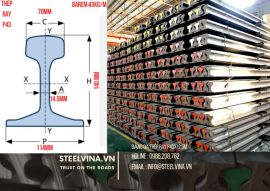 Thép Ray P43 x 12.5m